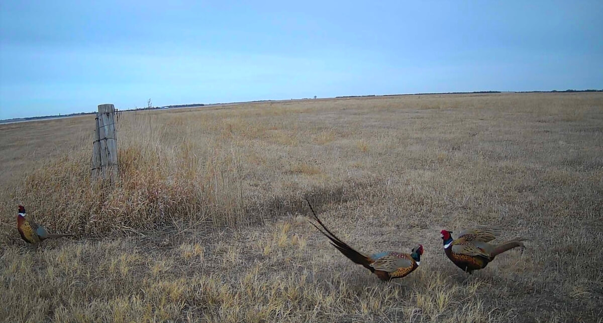 2nd image block 2nd image block